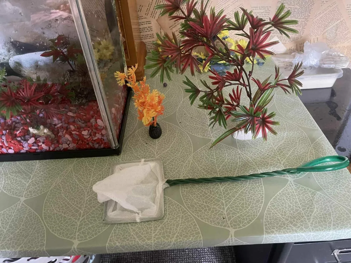 fish tank and alot of accessories - Image 2