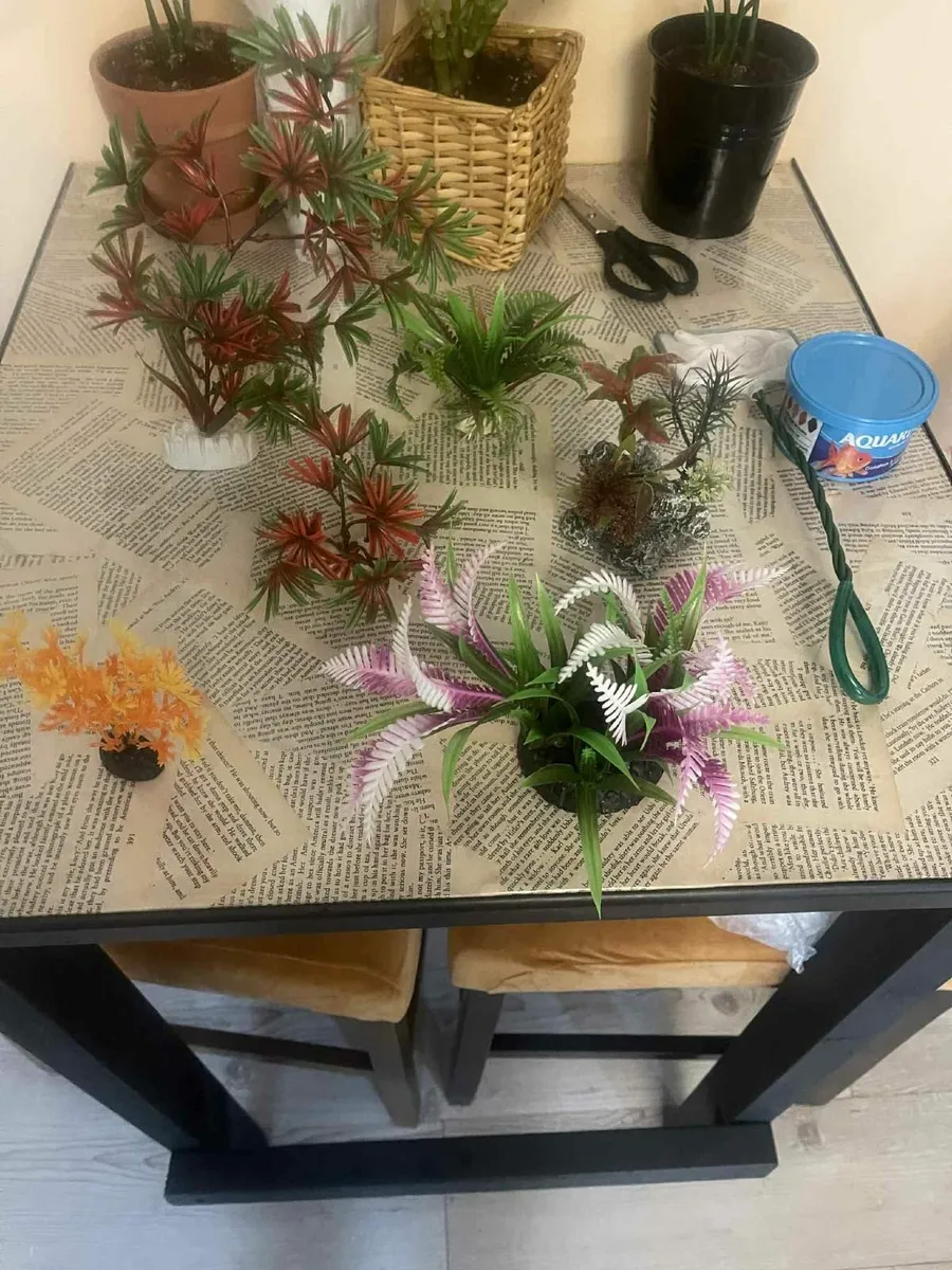 fish tank and alot of accessories - Image 4