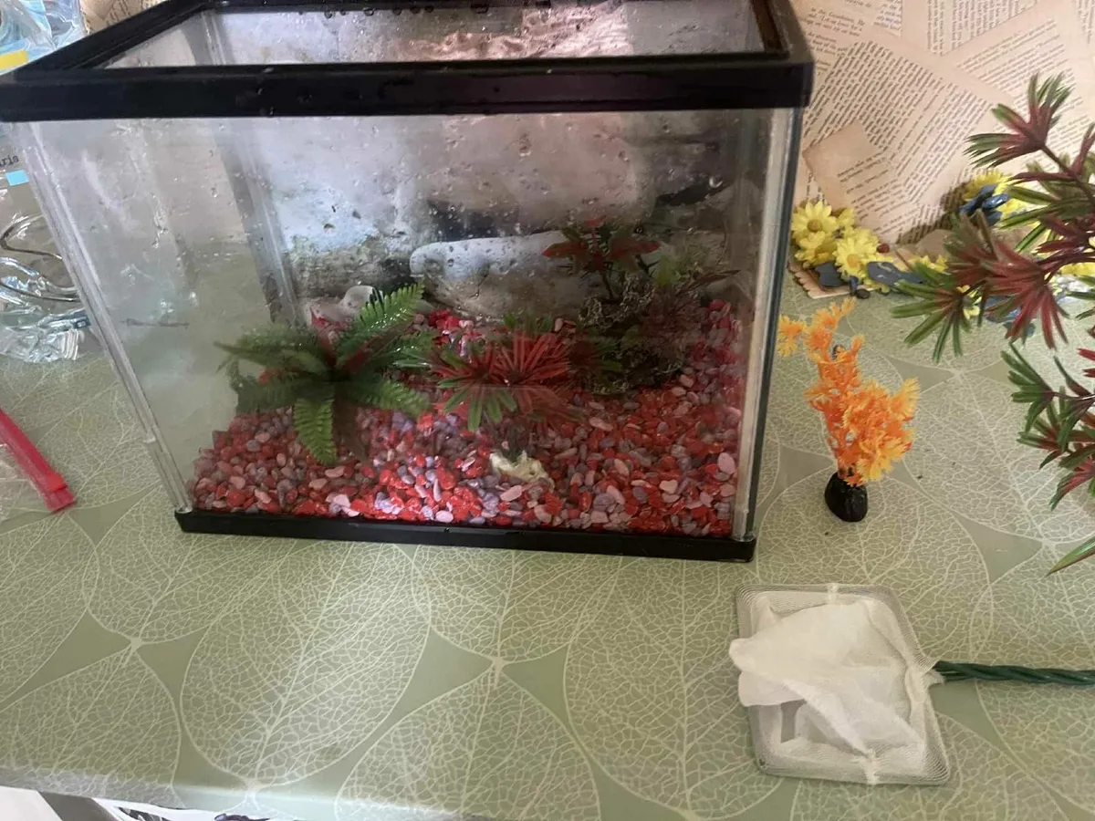 fish tank and alot of accessories - Image 1