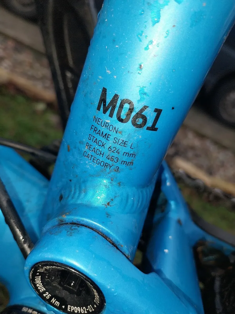 Canyon neuron Size Large - Image 3