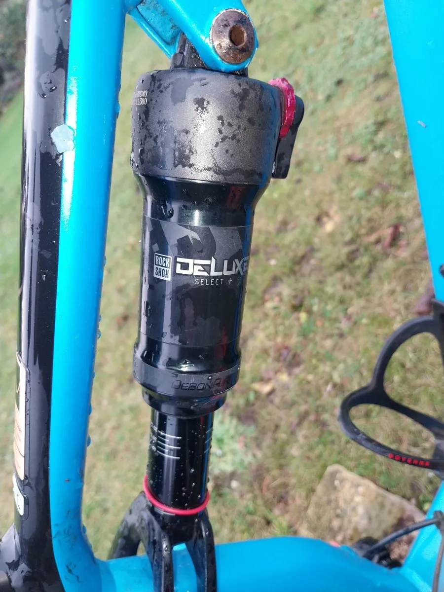 Canyon neuron Size Large - Image 4