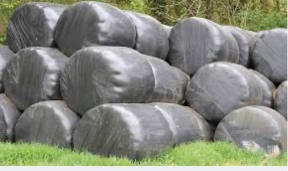 Bales Silage - Image 1