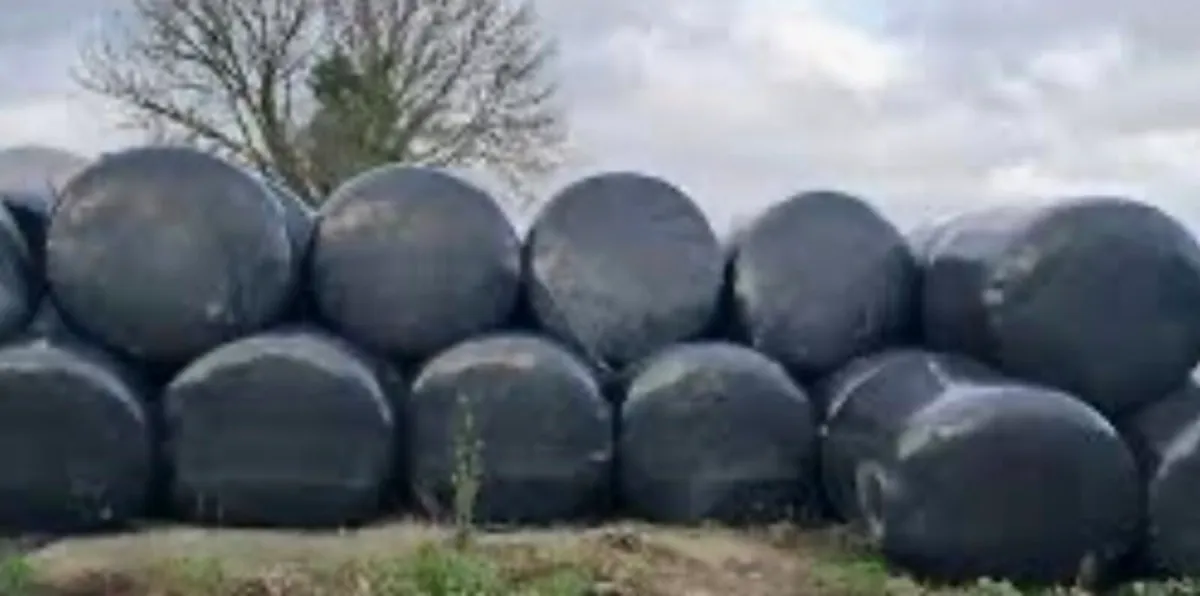 Bales Silage - Image 2
