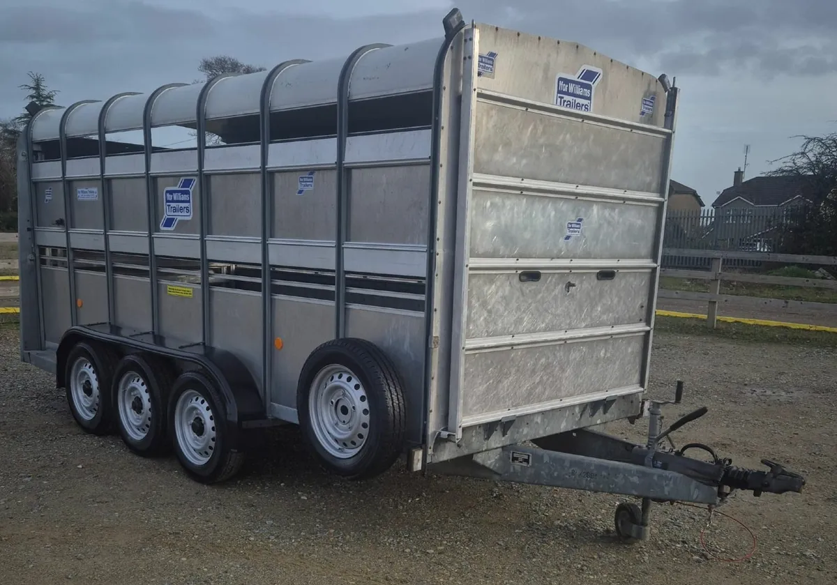 Ifor Williams 14 x 6  cattle trailer as new - Image 1
