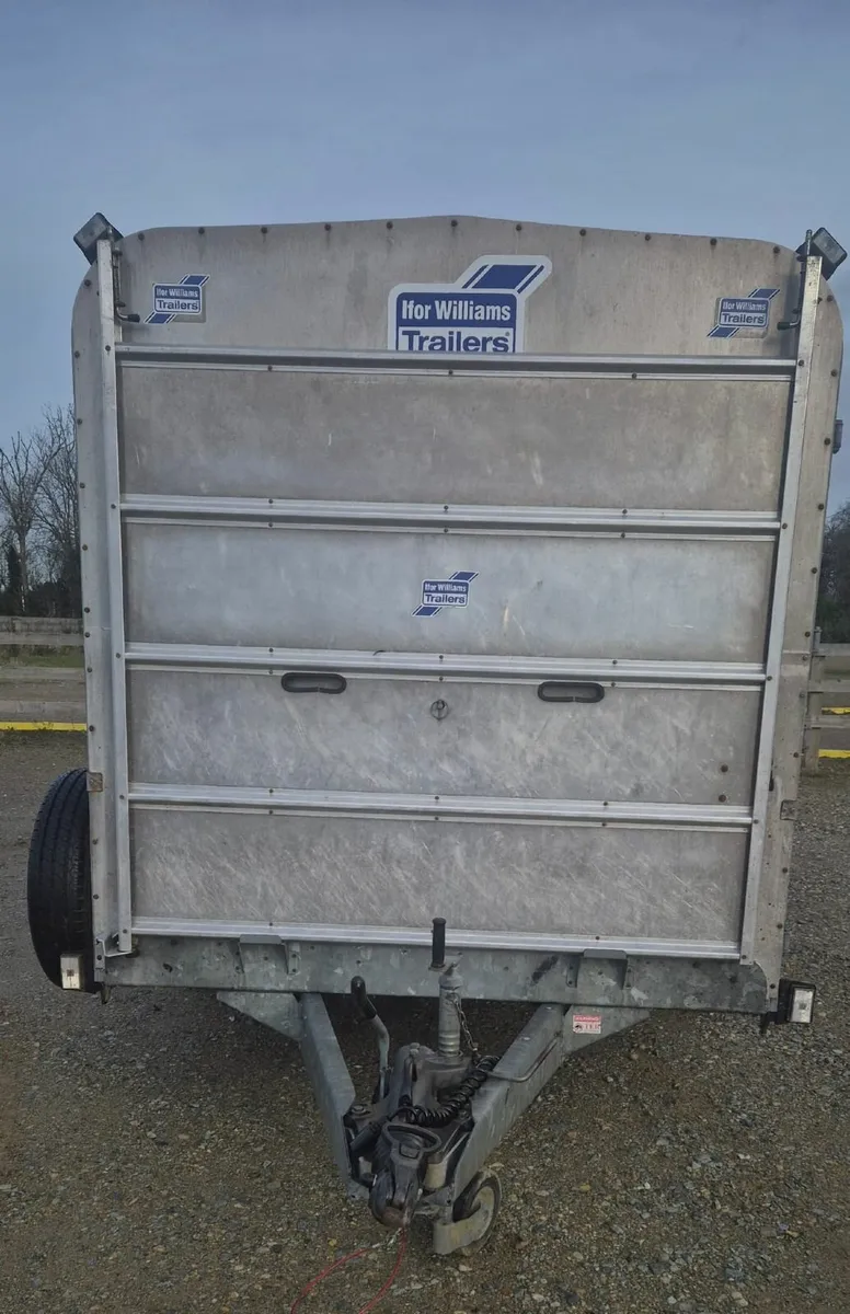 Ifor Williams 14 x 6  cattle trailer as new - Image 2