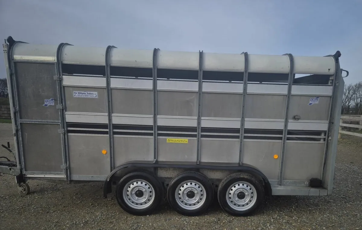 Ifor Williams 14 x 6  cattle trailer as new - Image 4