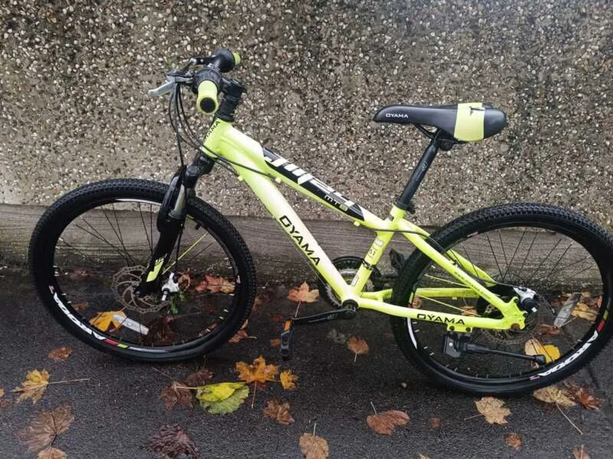 Oyama Mountain Bike - Image 1