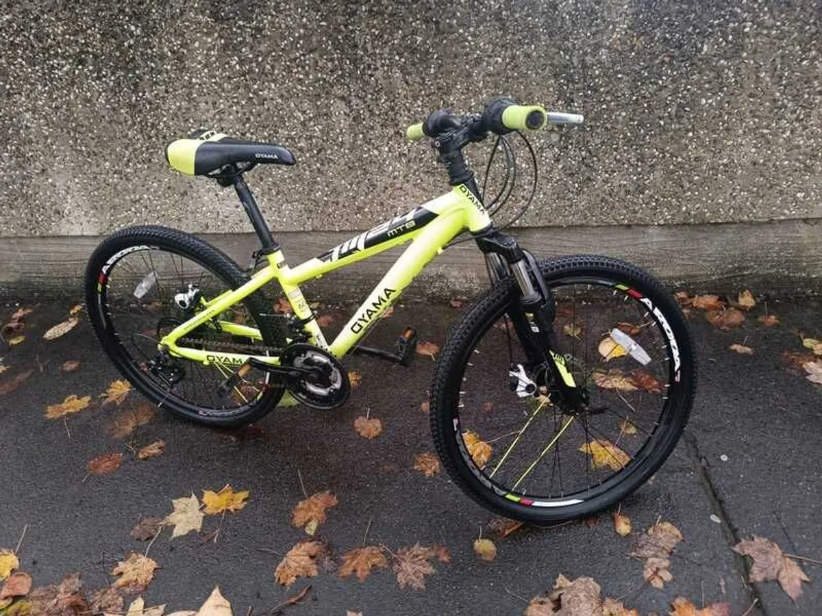 Oyama Mountain Bike - Image 2