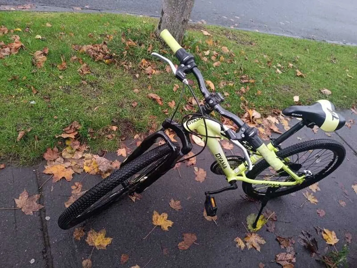 Oyama Mountain Bike - Image 3