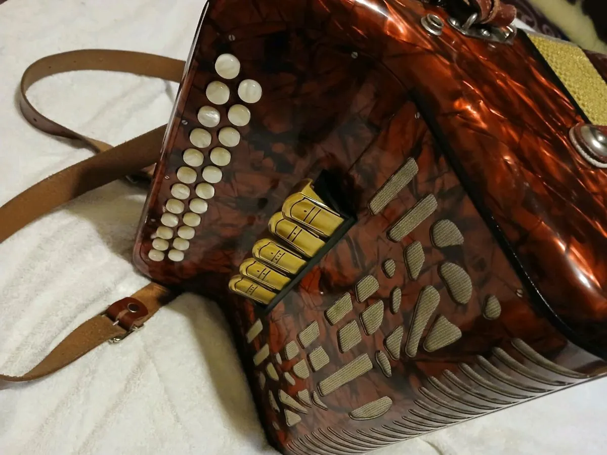 Button  Accordion - Image 2