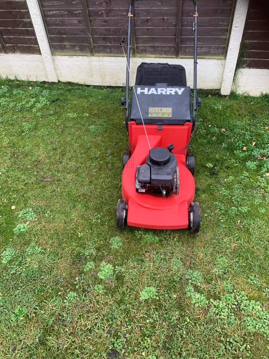 Lawnmower - Image 1
