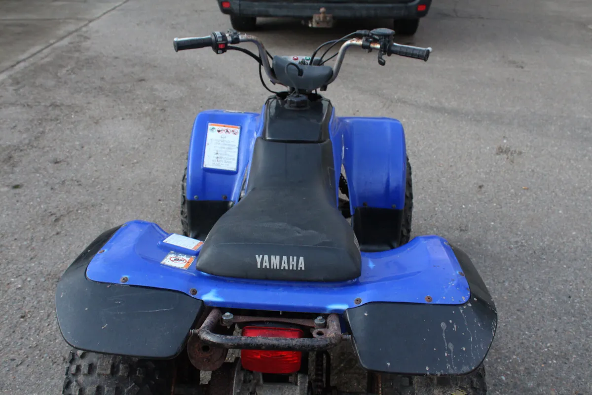 Yamaha Quad 125 - Image 4