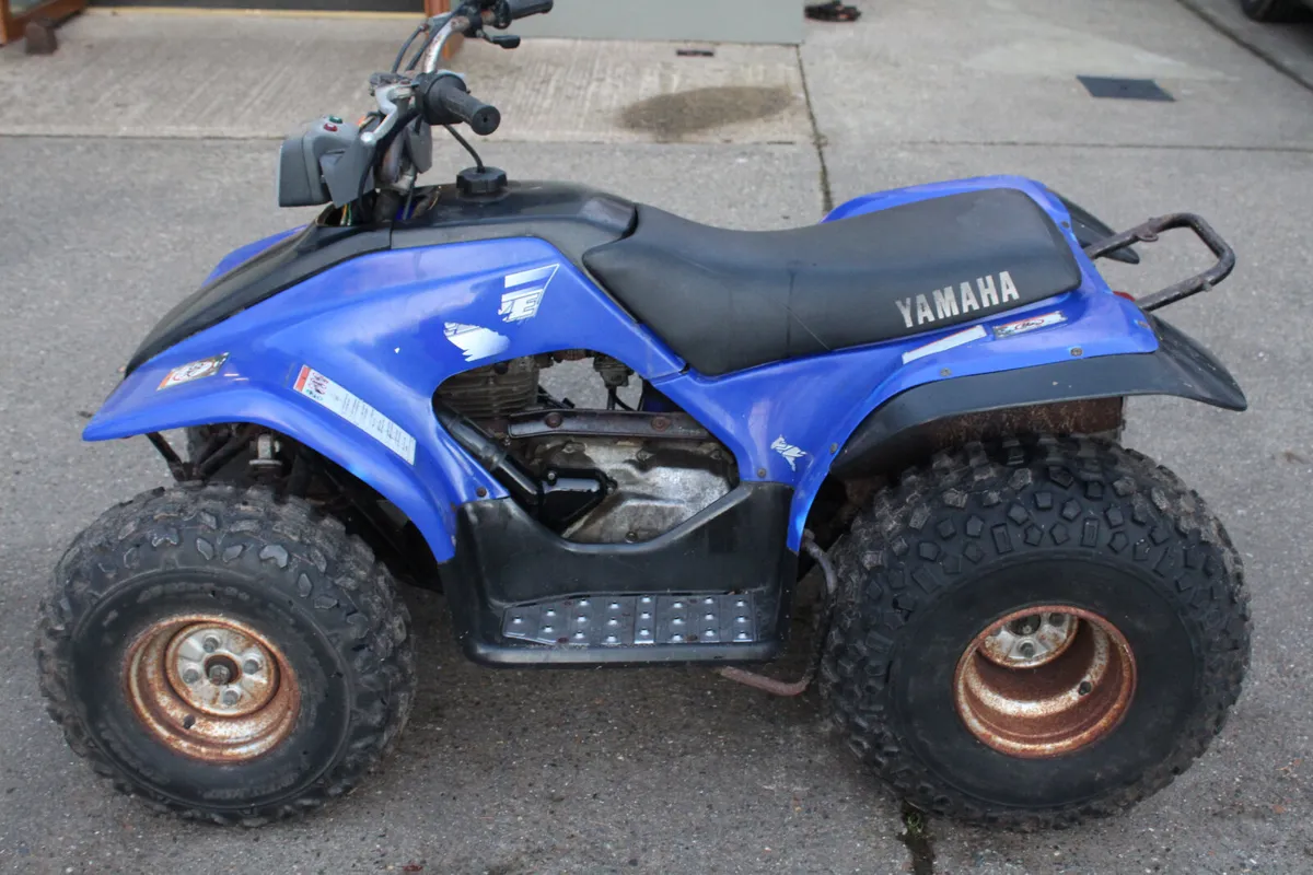 Yamaha Quad 125 - Image 3