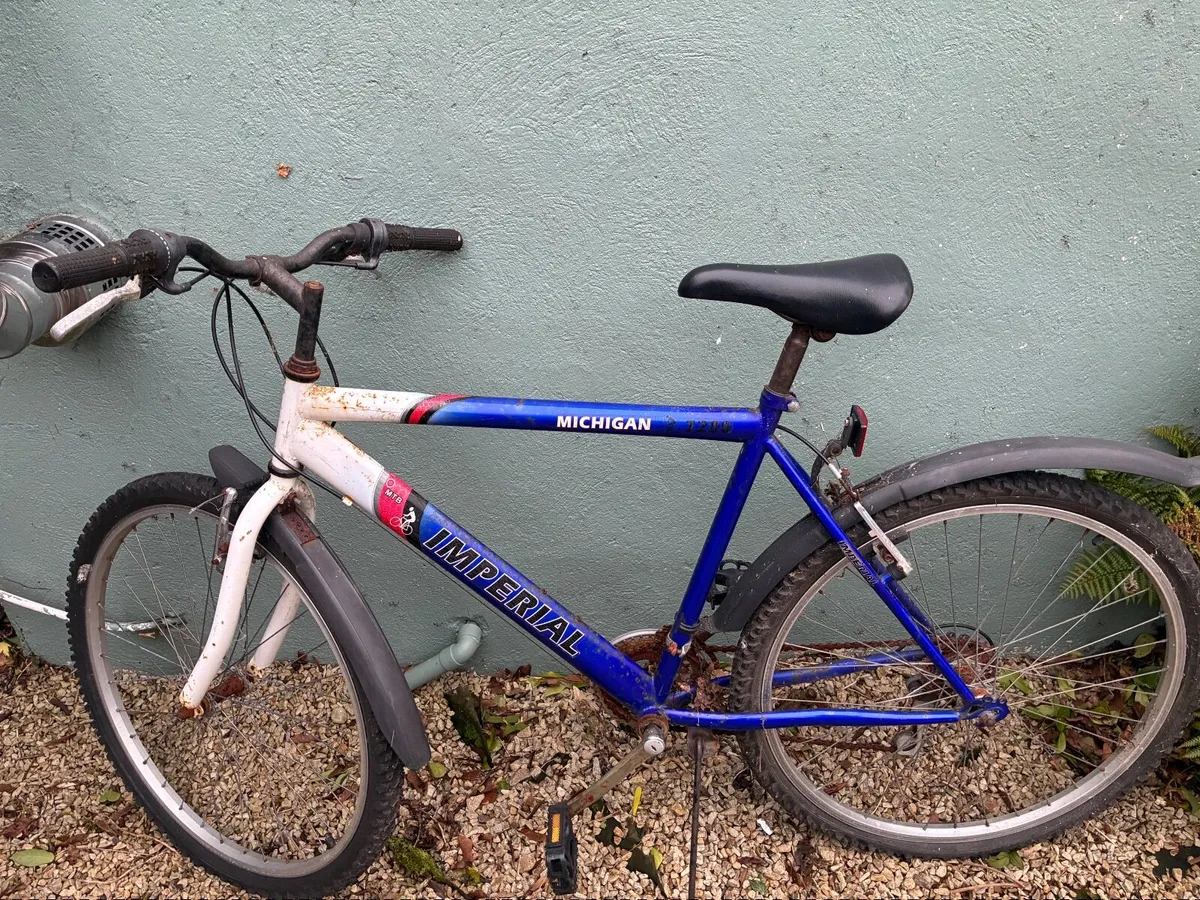 Push Bikes - Image 2