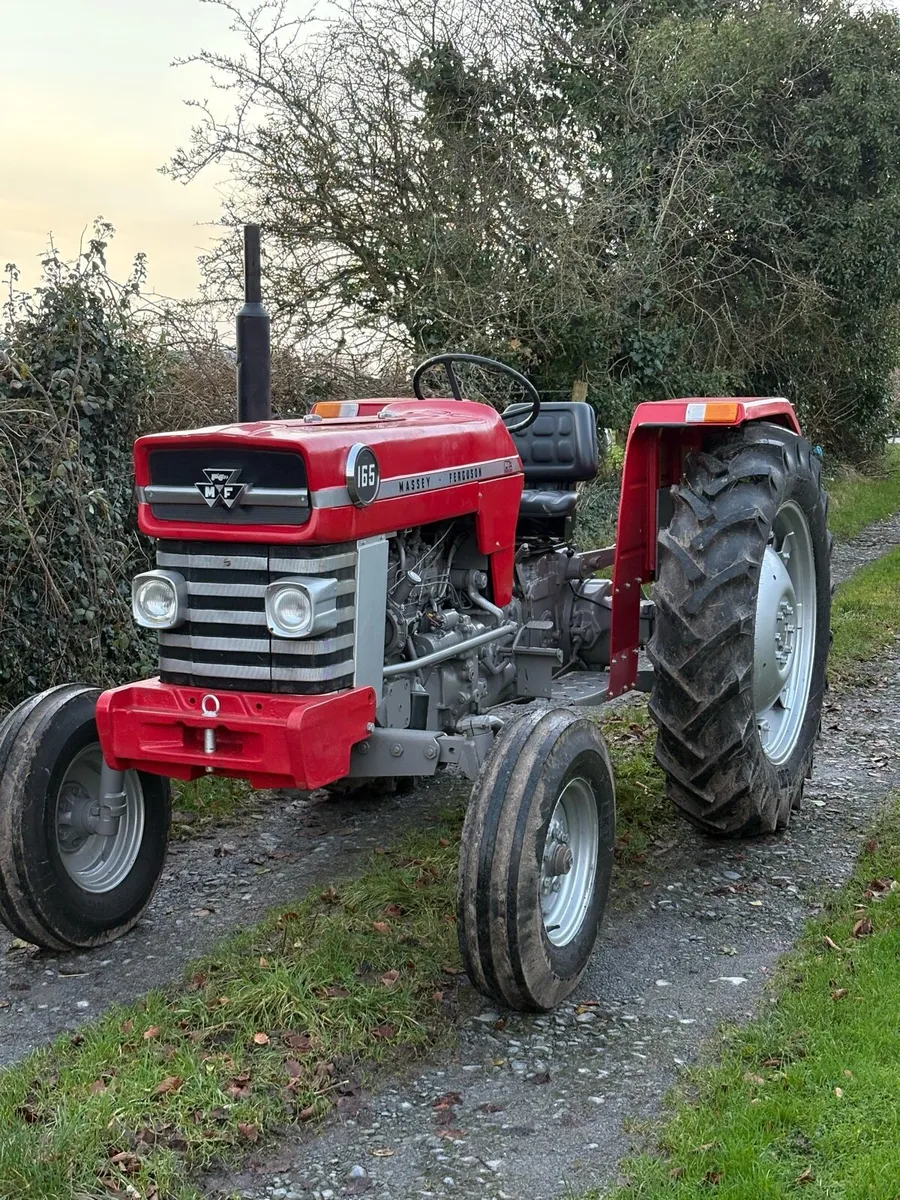 Massey Ferguson 165 - Image 1