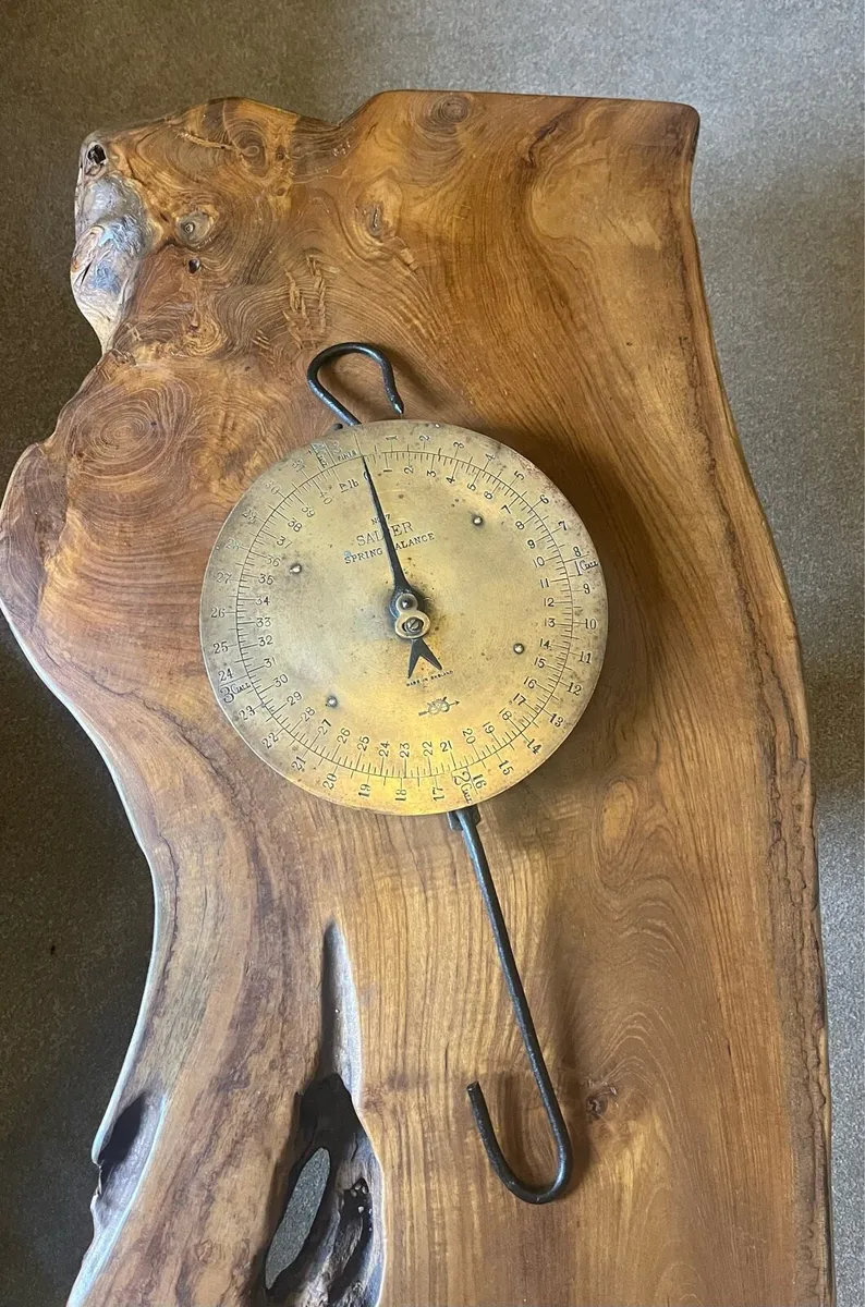Antique Salter 41 Lb Dairy Hanging Scales - Image 1