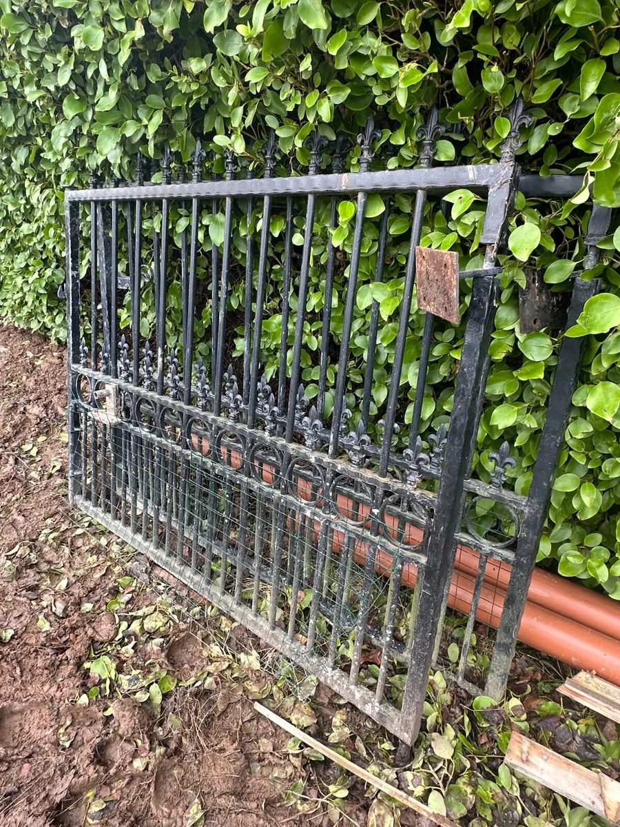 Steel Gates - Image 1