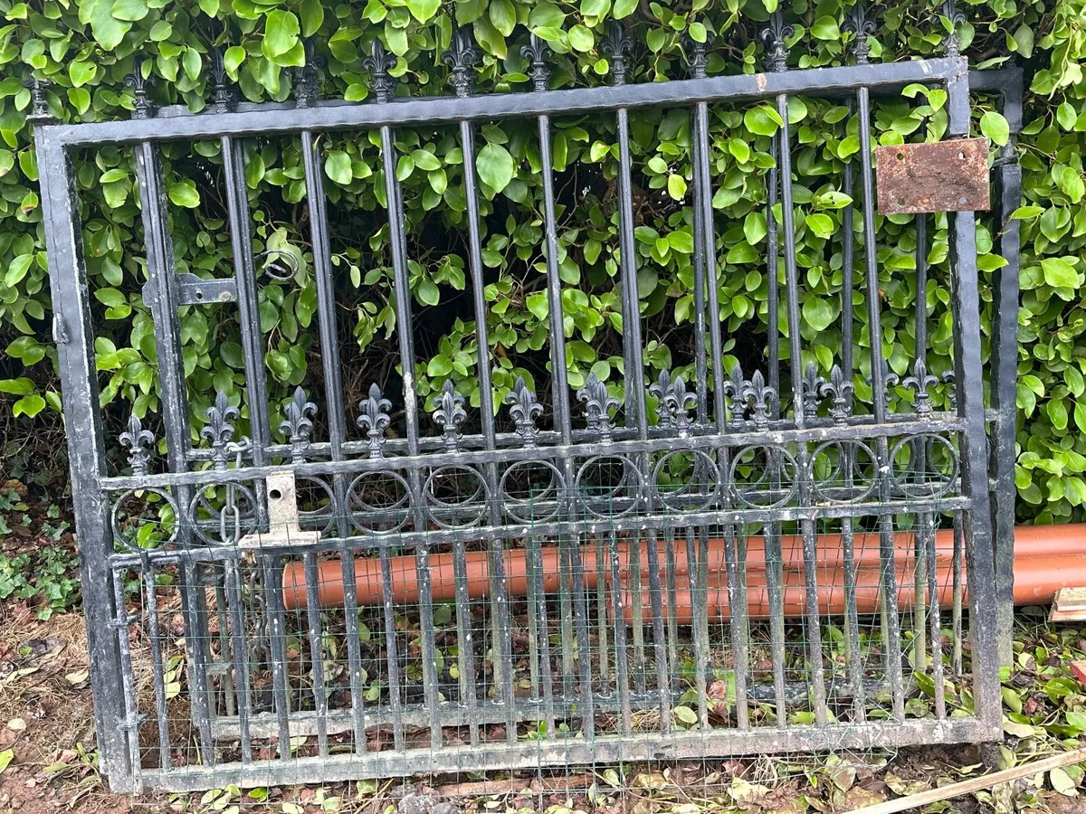 Steel Gates - Image 2