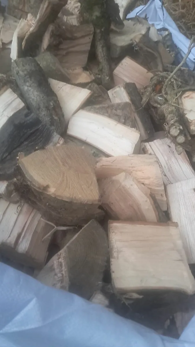 Fire wood / Hay& Straw - Image 2