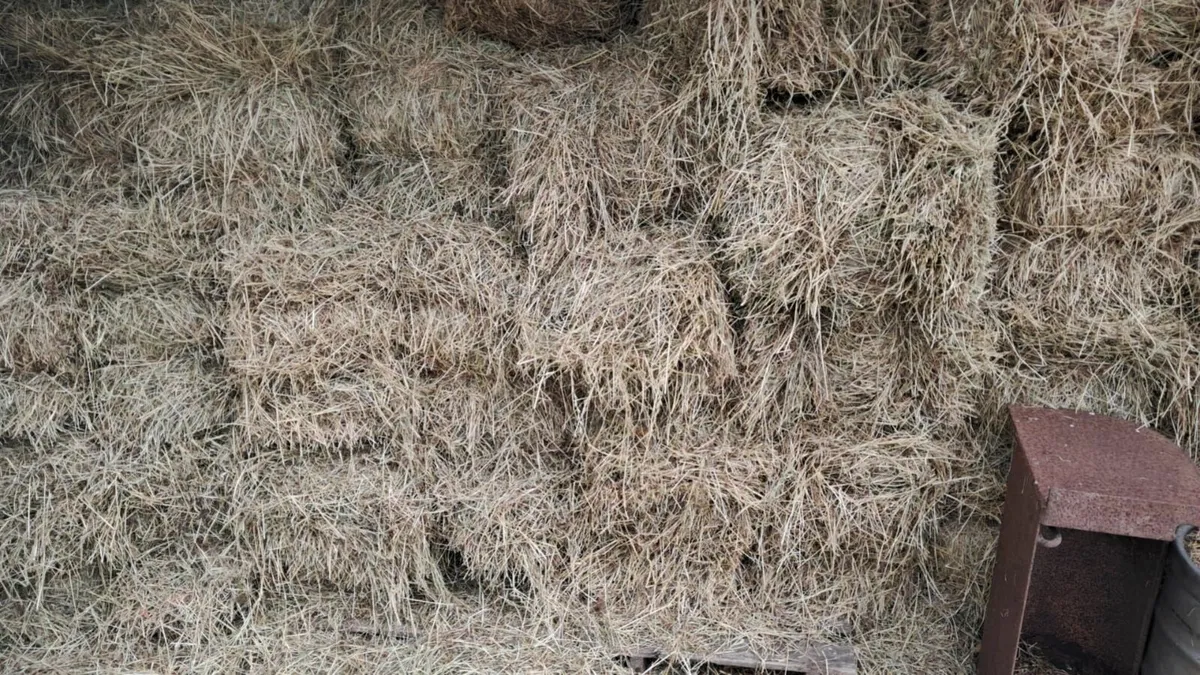 Fire wood / Hay& Straw - Image 4