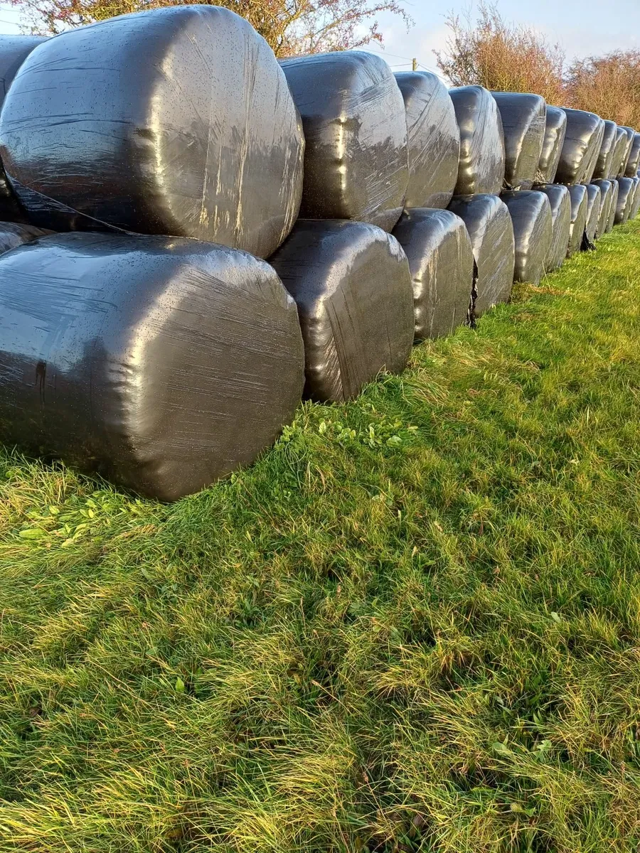 Silage Bales