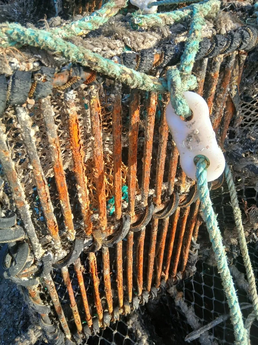 Lobster Pots - Image 1
