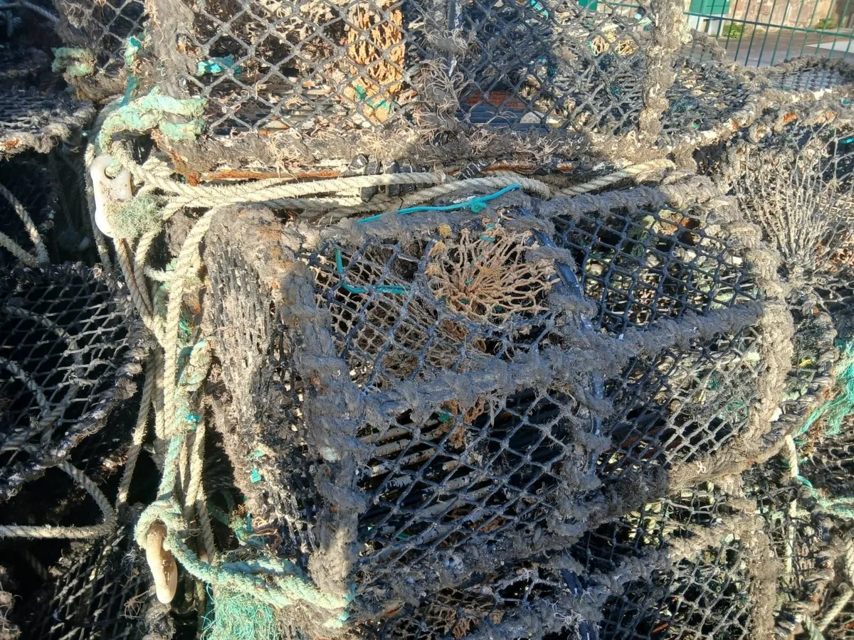 Lobster Pots - Image 2