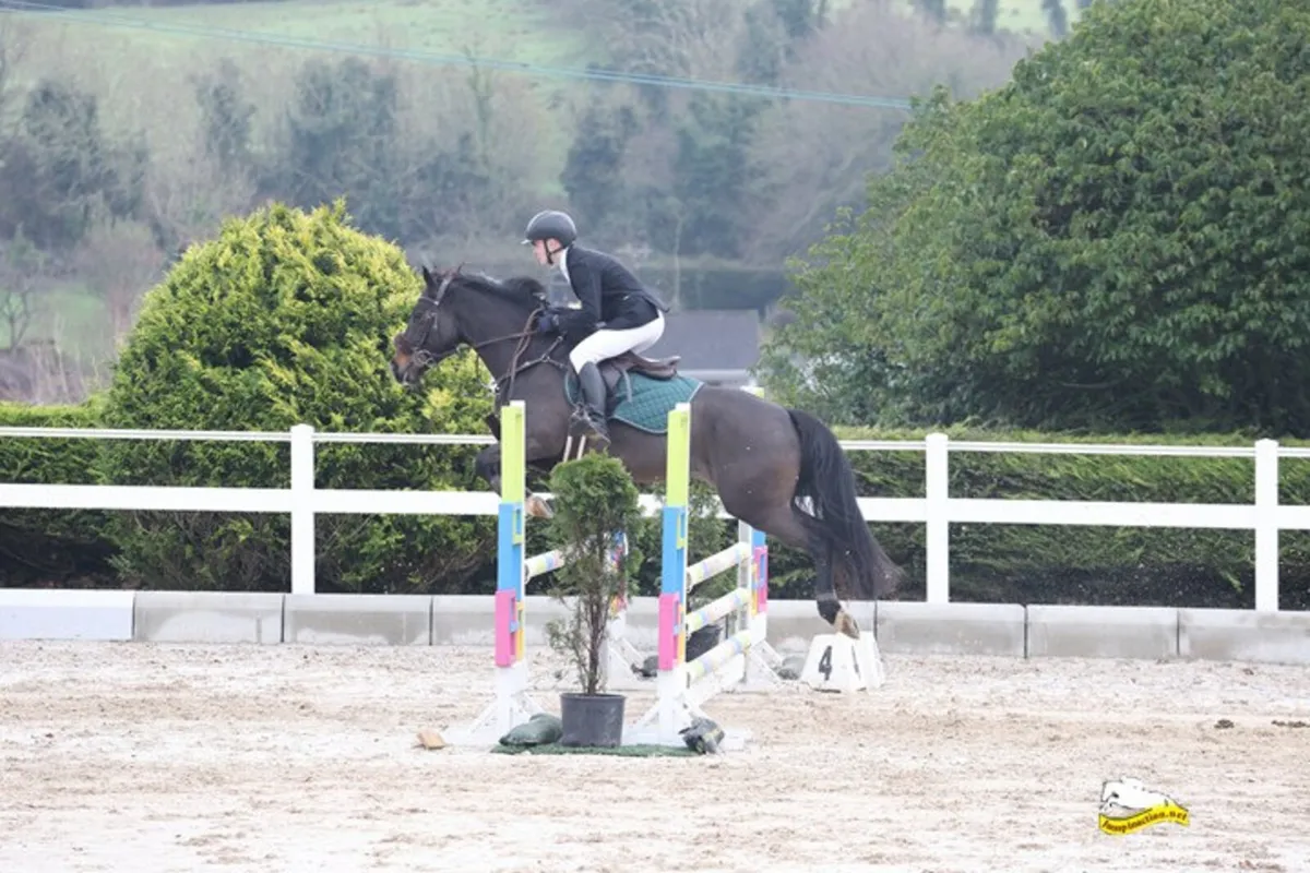 148 Showjumping Pony - Image 1