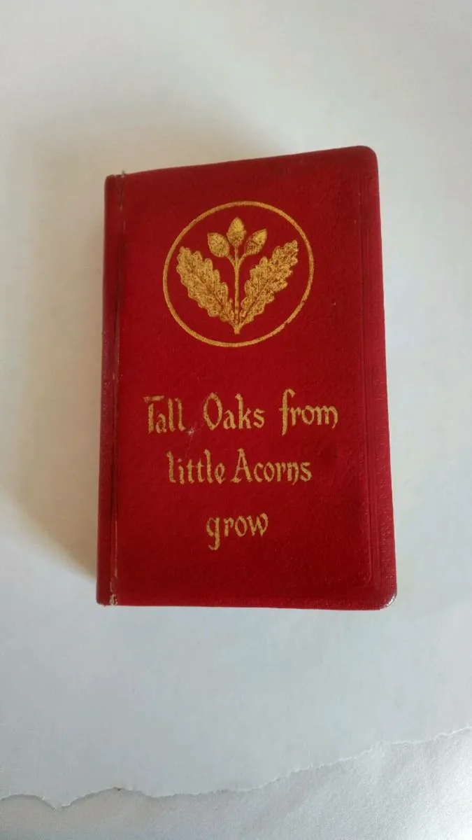 Antique metal money box - Image 1