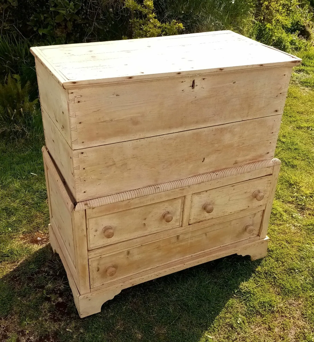 Antique Irish Pine Dowry Chest - Irish Furniture - Image 3