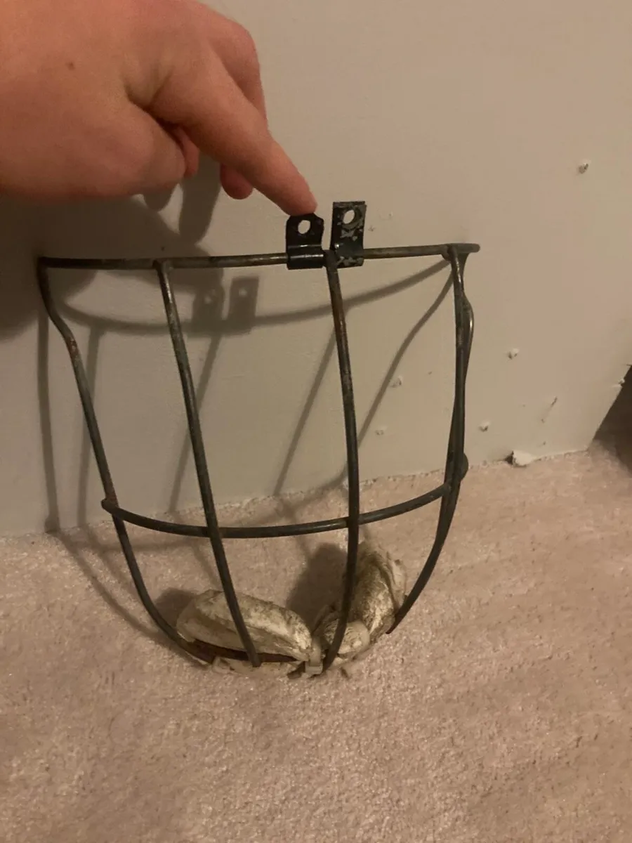 Oldstyle Kilkenny guard - Image 1