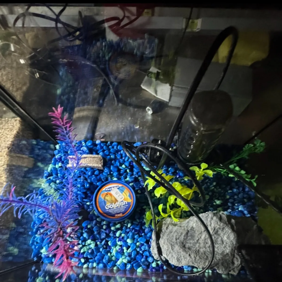 Fish tank - Image 4