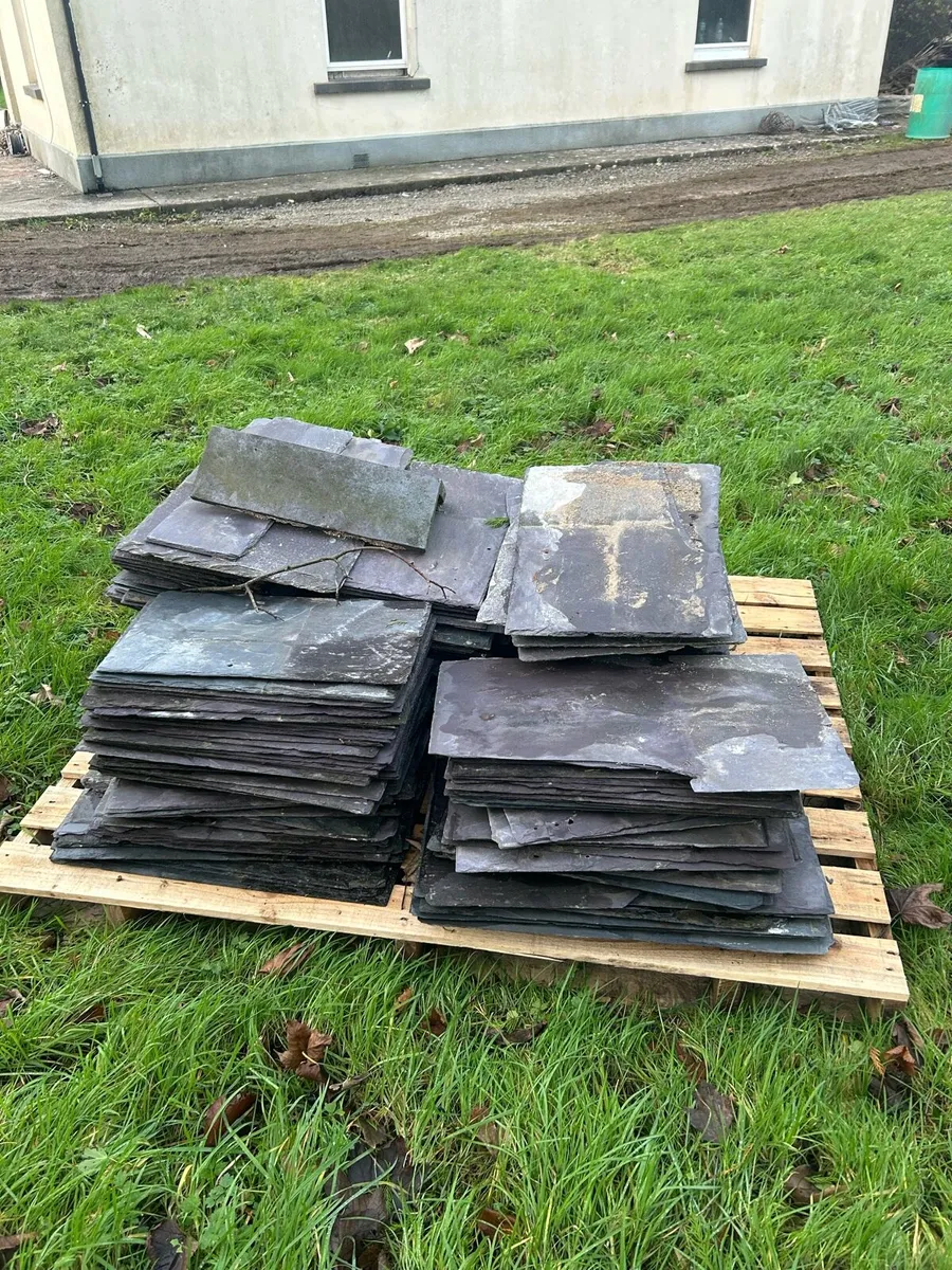 Blue Bangor & Purple slates and ridge tiles - Image 1