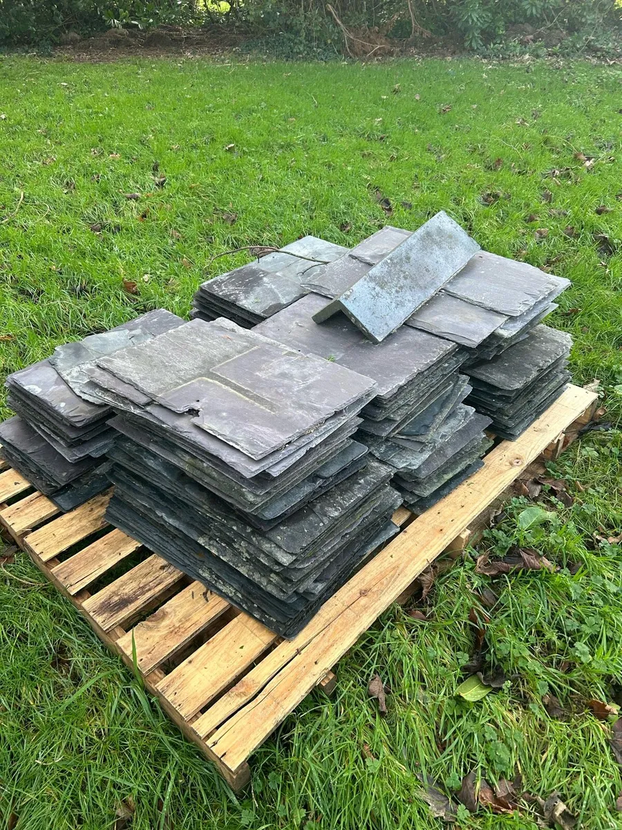 Blue Bangor & Purple slates and ridge tiles - Image 3