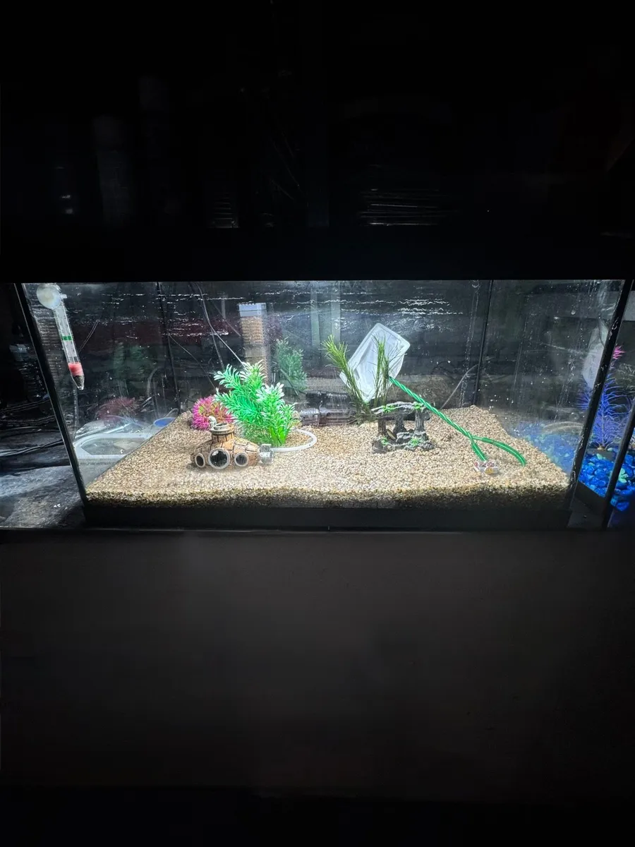 Fish tank - Image 1