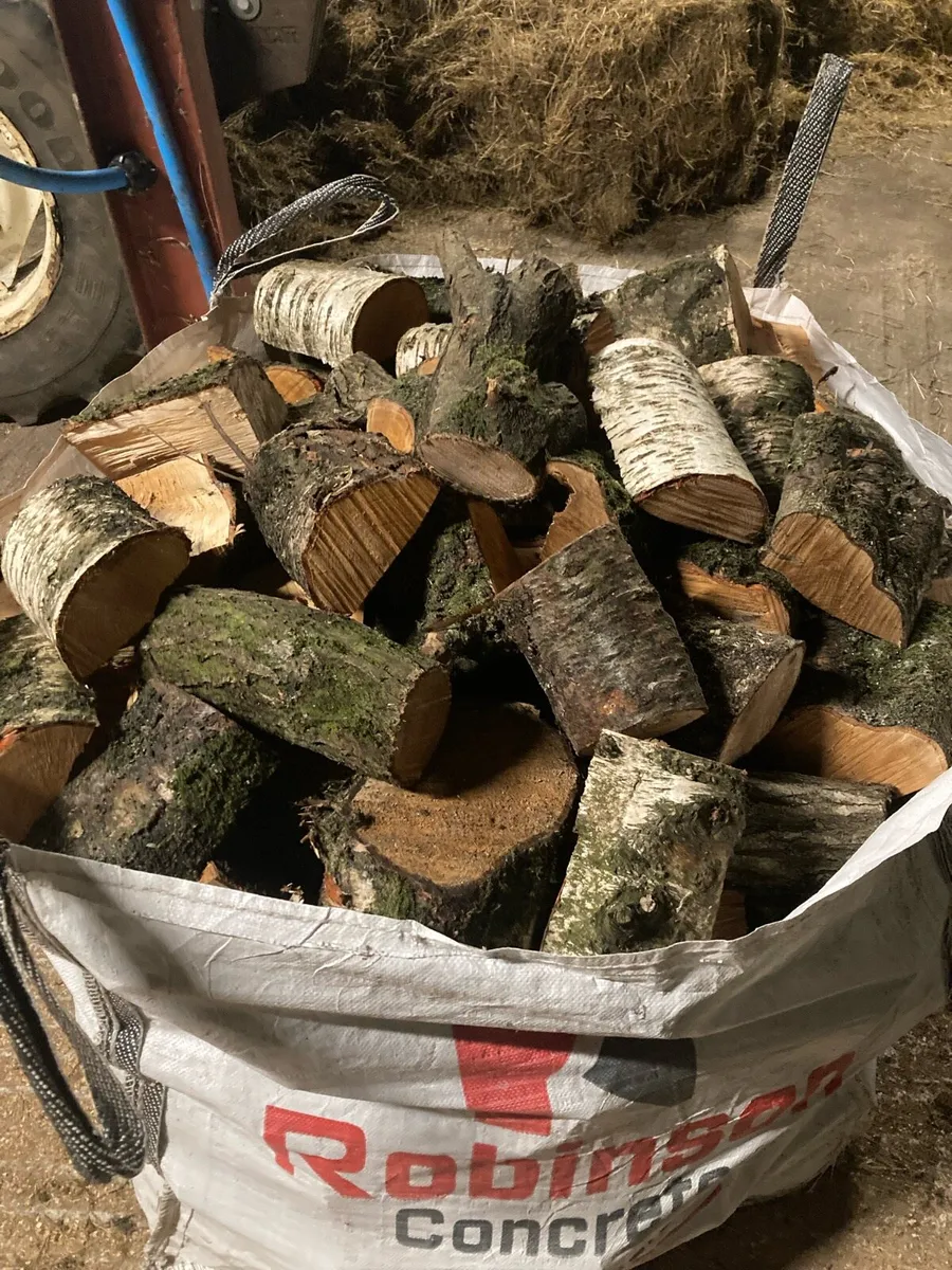 Hardwood logs for sale - Image 1