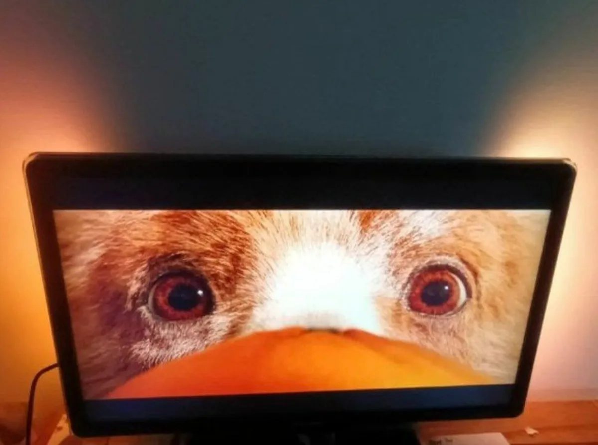 32 Philips TV with stand, remote and backlight