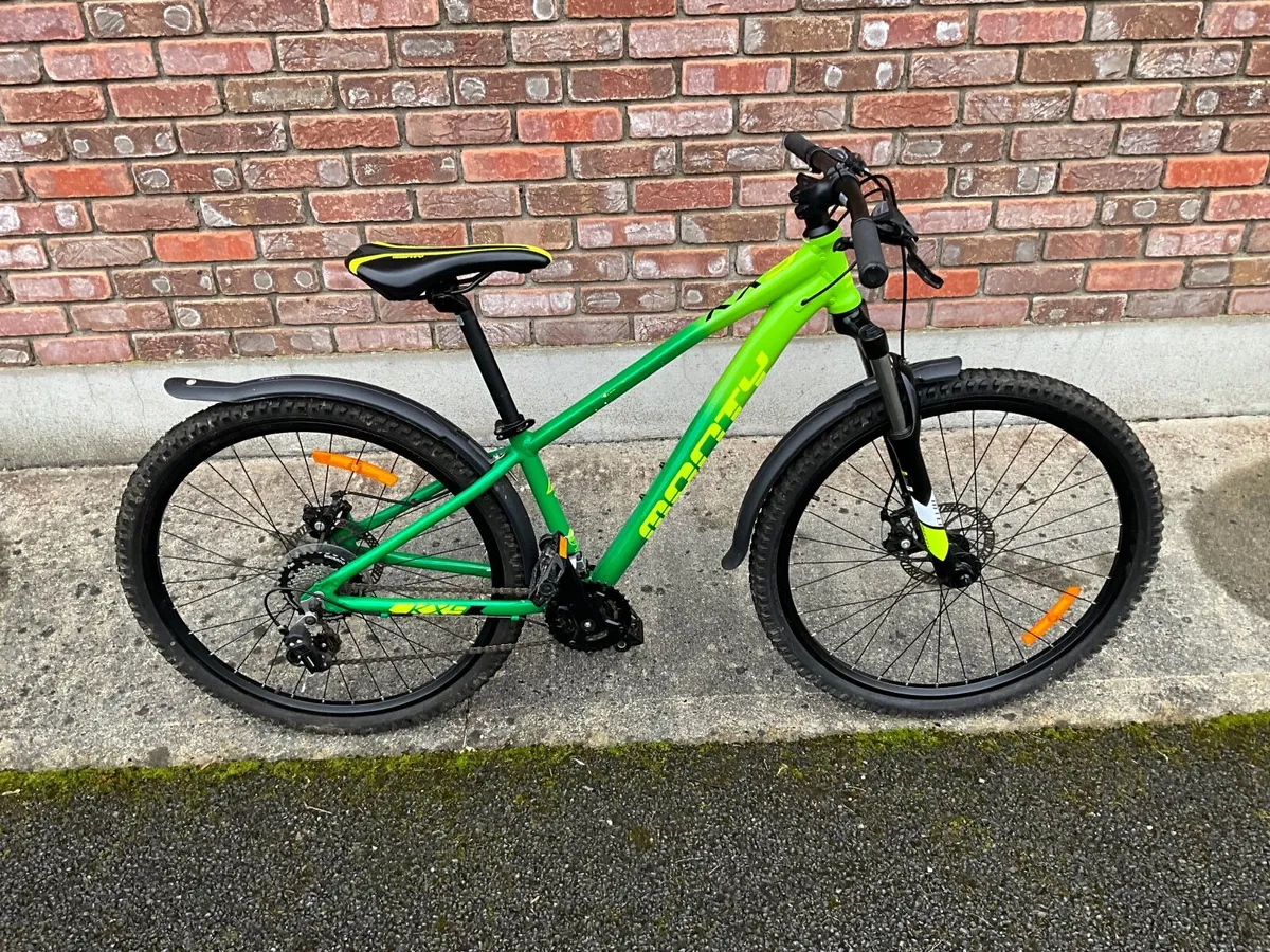 Children’s Mountain Bike - Image 1