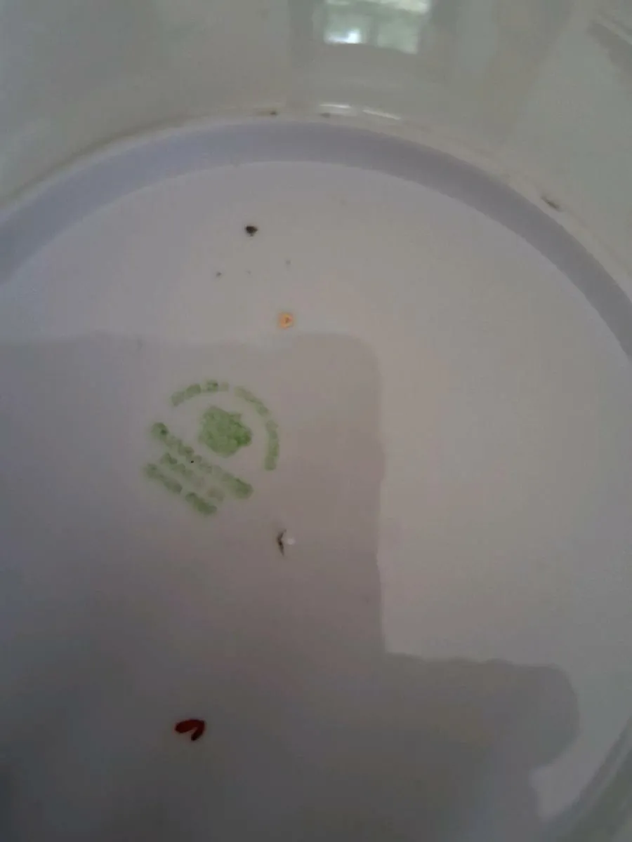 Art Deco Plate - Image 3