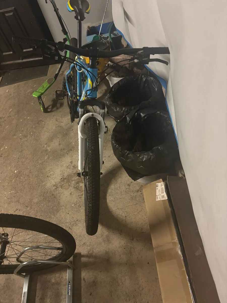 Rust bucket - Image 1