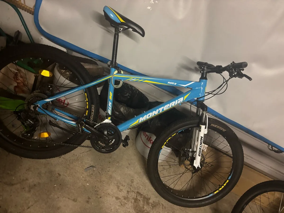 Rust bucket - Image 2