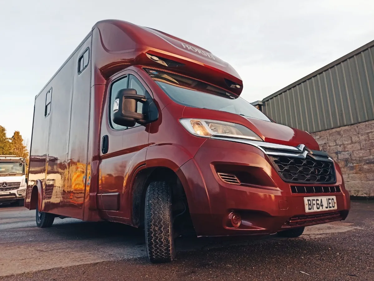 Horse lorry 3.5t Citroen Relay 2014 - Image 3
