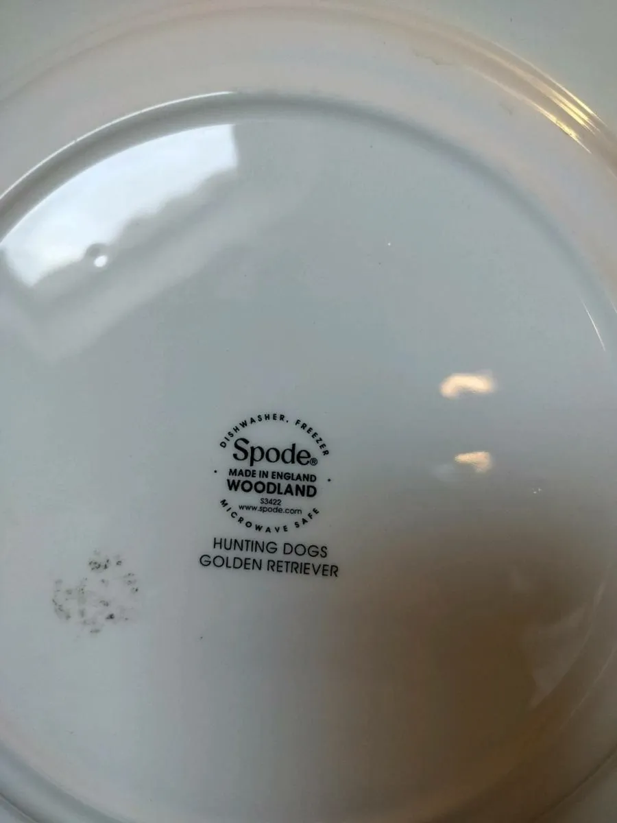 Spode dinner plate - Image 2