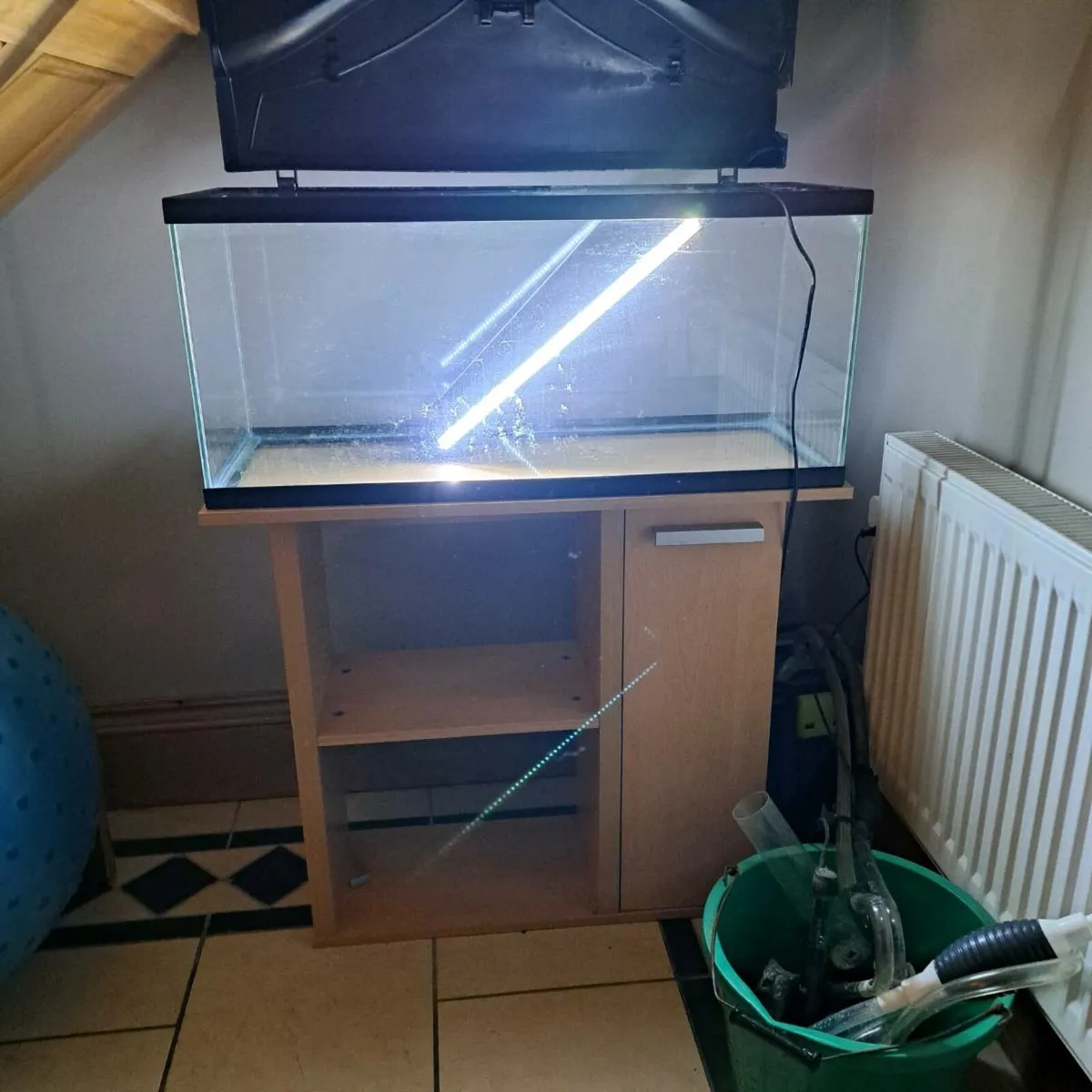 Large fish tank