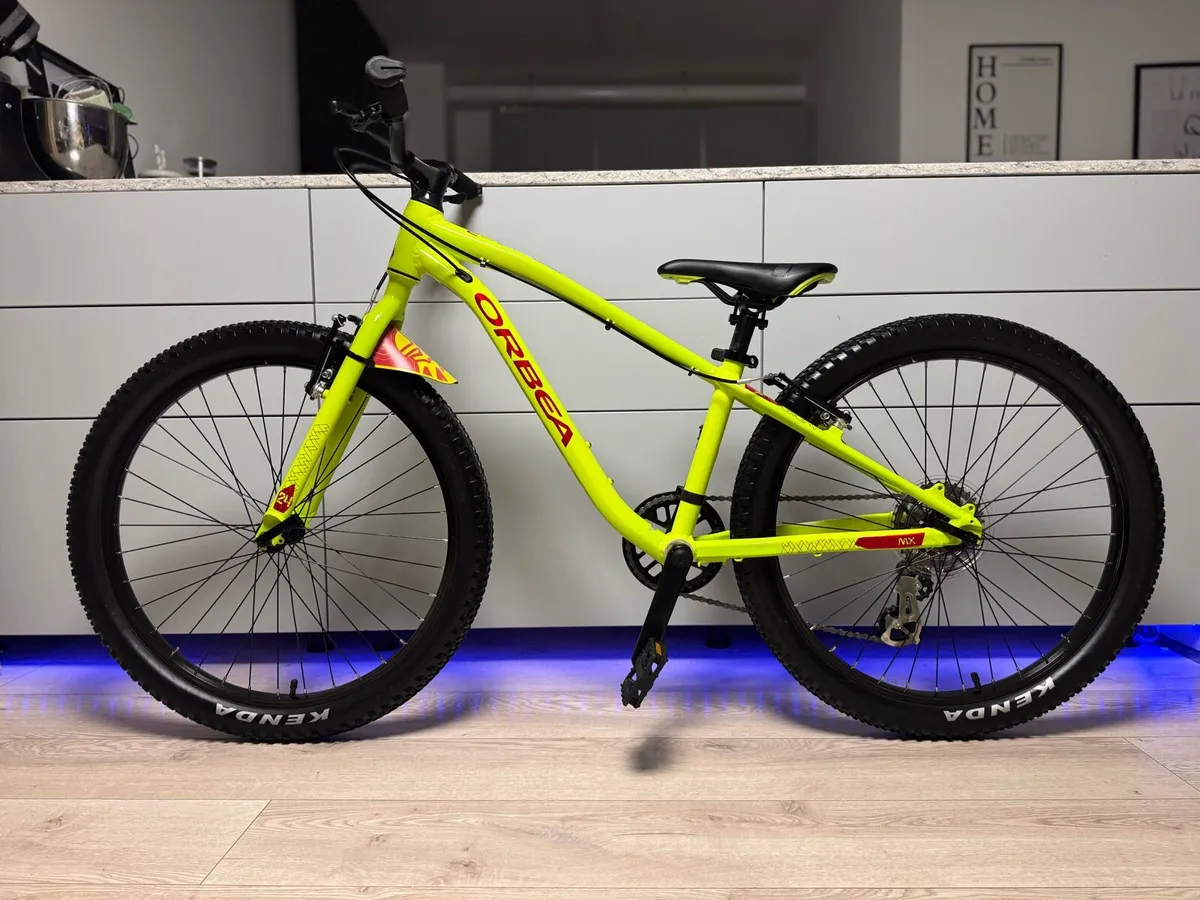 ORBEA MX24 Dirt Junior Bike 24 inch - Image 2