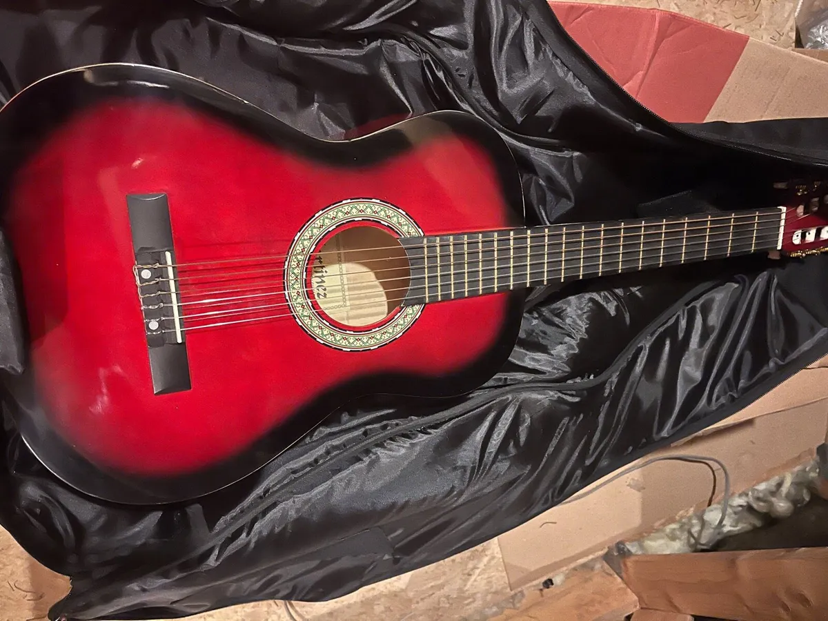 Guitar and bag - Image 1