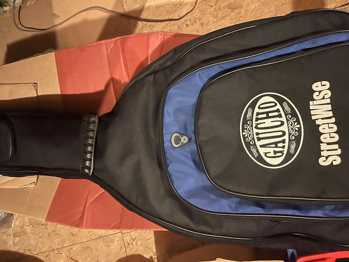 Guitar and bag - Image 2