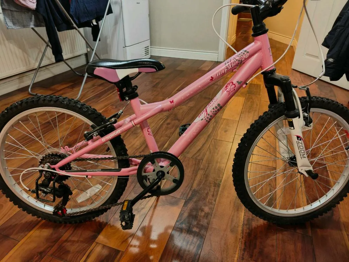 20 inch Girl's bicycle - Image 1