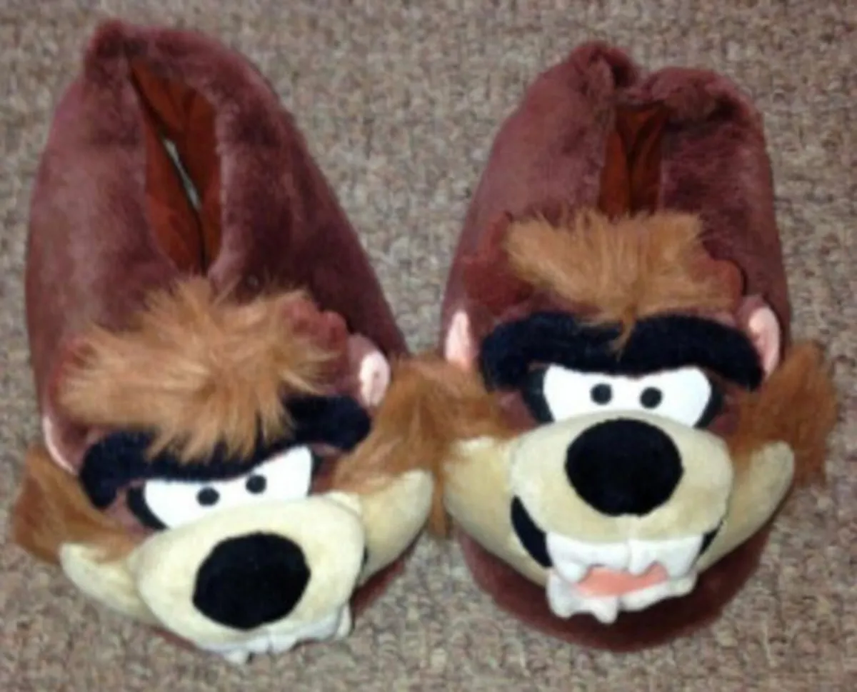 Slippers - Image 1