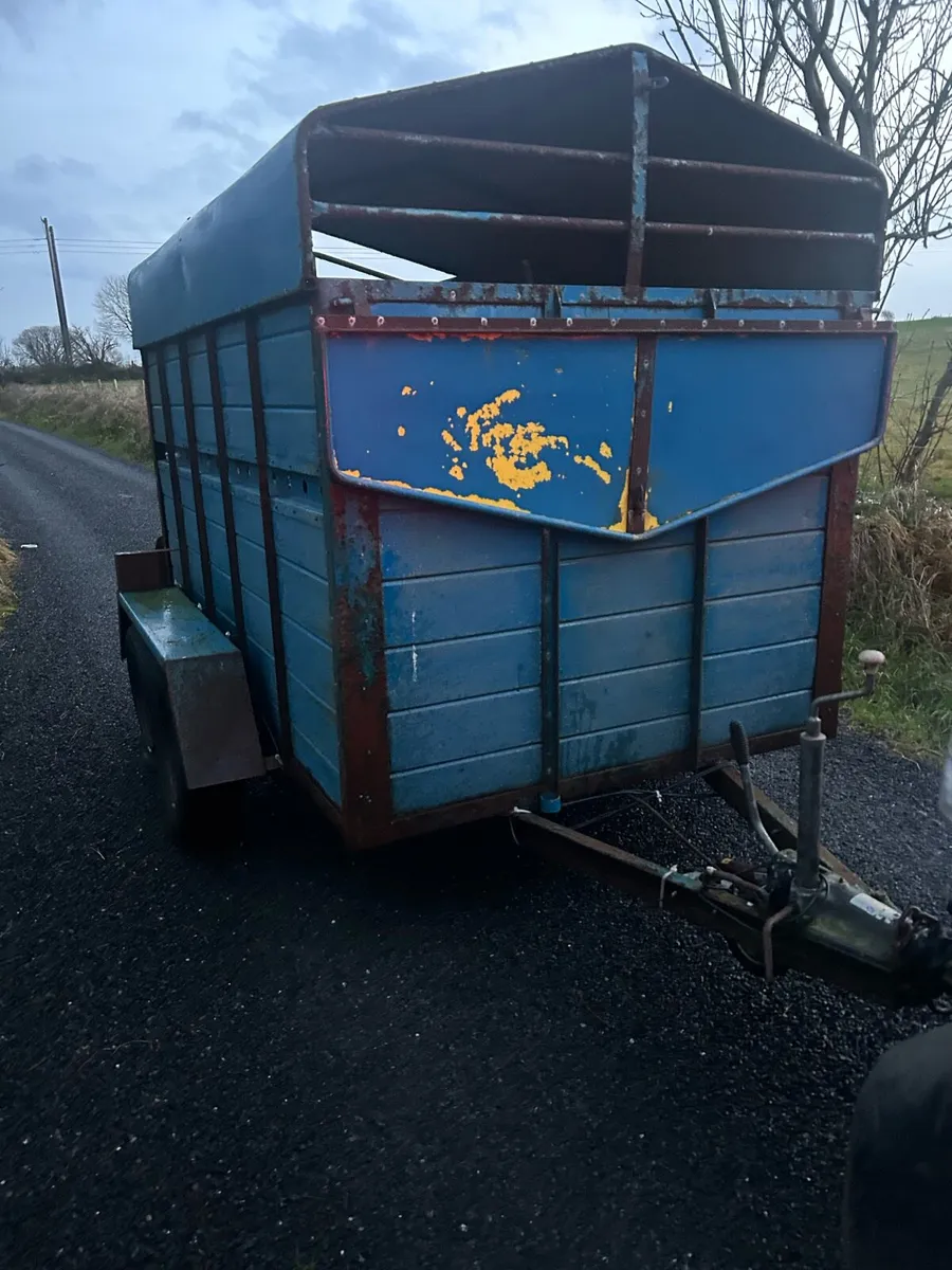 8x5 cow box - Image 1